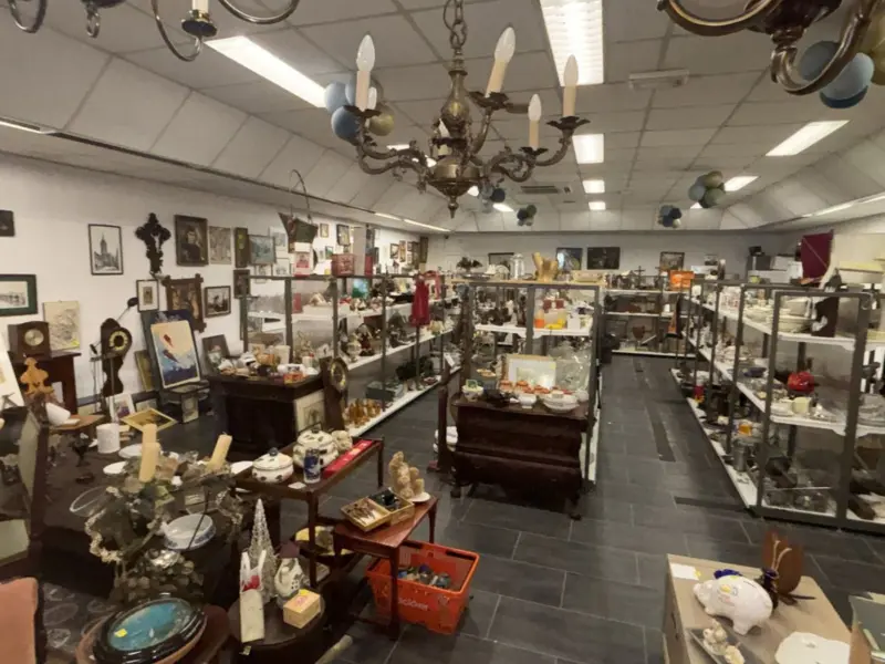 Overzicht van de winkel met lampen en decoratie